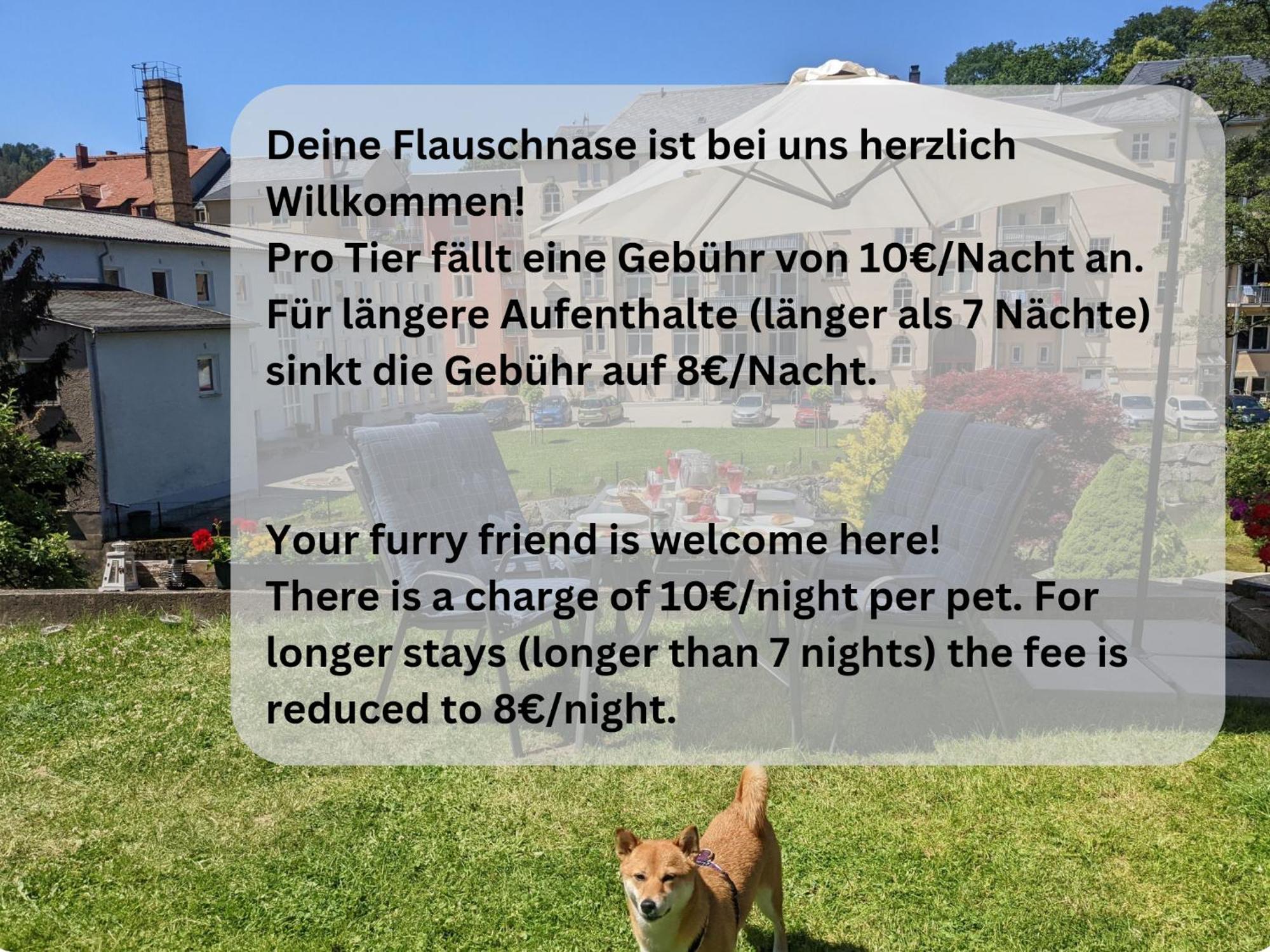 F1 - Urlaubsmagie - Helle Wohnung Mit Sauna & Pool & Whirlpool Зебниц Екстериор снимка